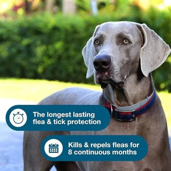 Flea and Tick Collar for Large Dogs