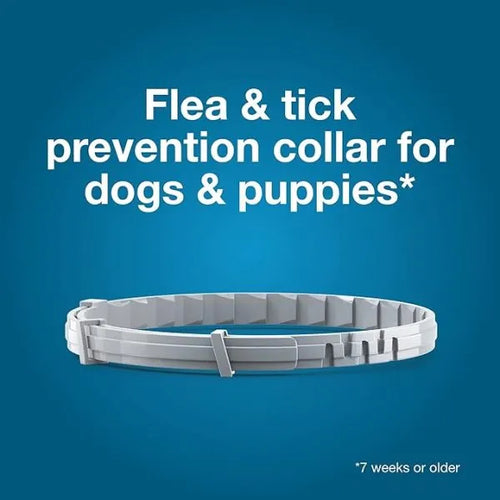 Flea and Tick Collar for Small Dogs