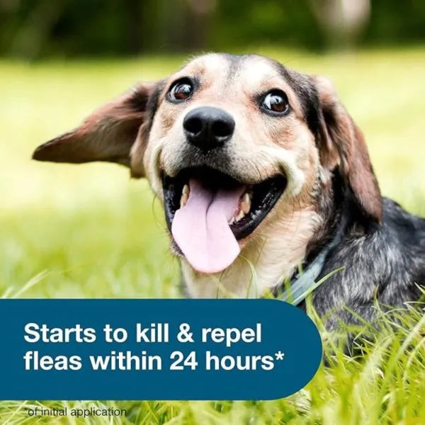 Flea and Tick Collar for Small Dogs